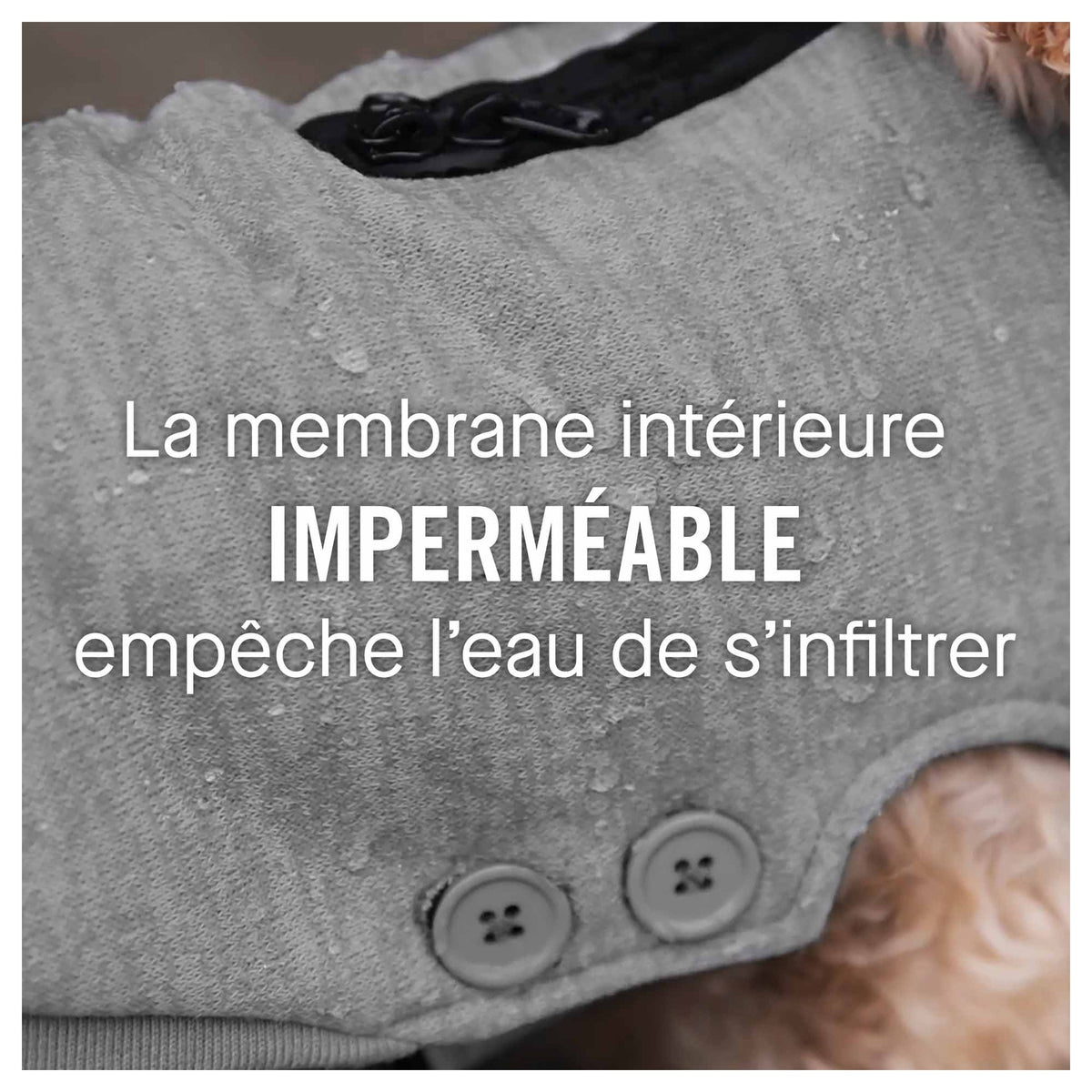 Canada Pooch Waterproof Sweater｜狗狗服飾｜加拿大直送 產品細節圖 4