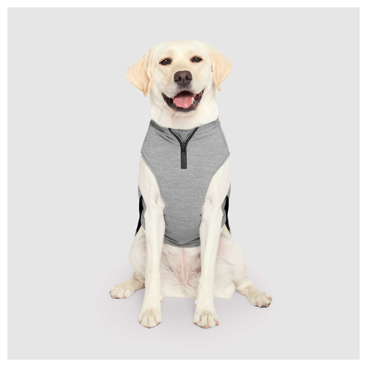 Canada Pooch Waterproof Sweater｜狗狗服飾｜加拿大直送 產品細節圖 5