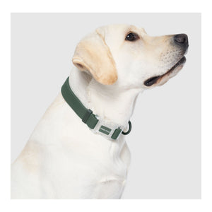 Canada Pooch Waterproof Collar｜狗狗頸圈｜加拿大直送-寵物頸圈-毛孩物語Pets Thing｜香港寵物貓狗用品專門店：IATA寵物飛機籠、寵物手推車、貓爬架貓樹