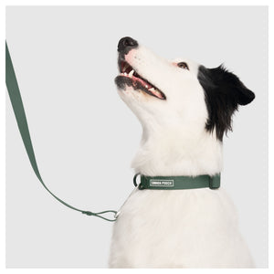 Canada Pooch Waterproof Collar｜狗狗頸圈｜加拿大直送-寵物頸圈-毛孩物語Pets Thing｜香港寵物貓狗用品專門店：IATA寵物飛機籠、寵物手推車、貓爬架貓樹