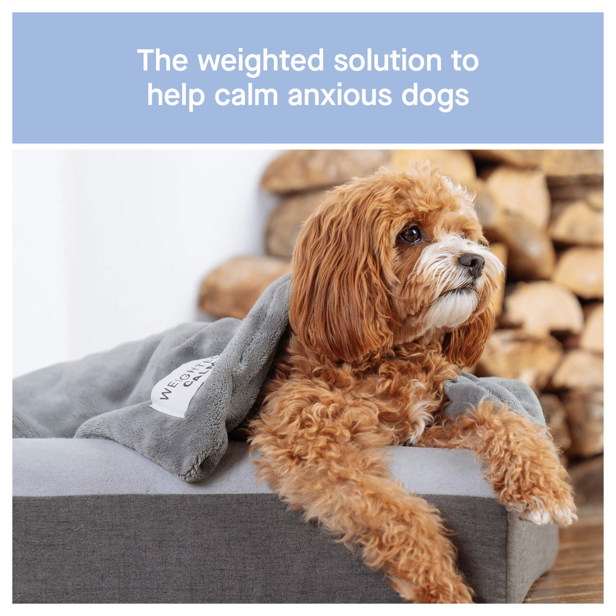 Canada Pooch Weighted Calming Blanket｜狗狗睡床及家居用品｜加拿大直送-寵物床-毛孩物語Pets Thing｜香港寵物貓狗用品專門店：IATA寵物飛機籠、寵物手推車、貓爬架貓樹