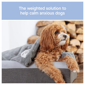 Canada Pooch Weighted Calming Blanket｜狗狗睡床及家居用品｜加拿大直送-寵物床-毛孩物語Pets Thing｜香港寵物貓狗用品專門店：IATA寵物飛機籠、寵物手推車、貓爬架貓樹