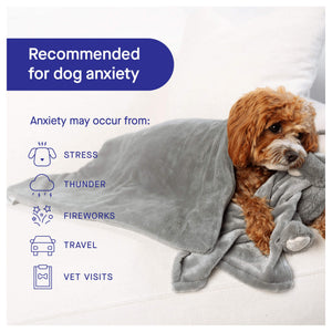 Canada Pooch Weighted Calming Blanket｜狗狗睡床及家居用品｜加拿大直送-寵物床-毛孩物語Pets Thing｜香港寵物貓狗用品專門店：IATA寵物飛機籠、寵物手推車、貓爬架貓樹