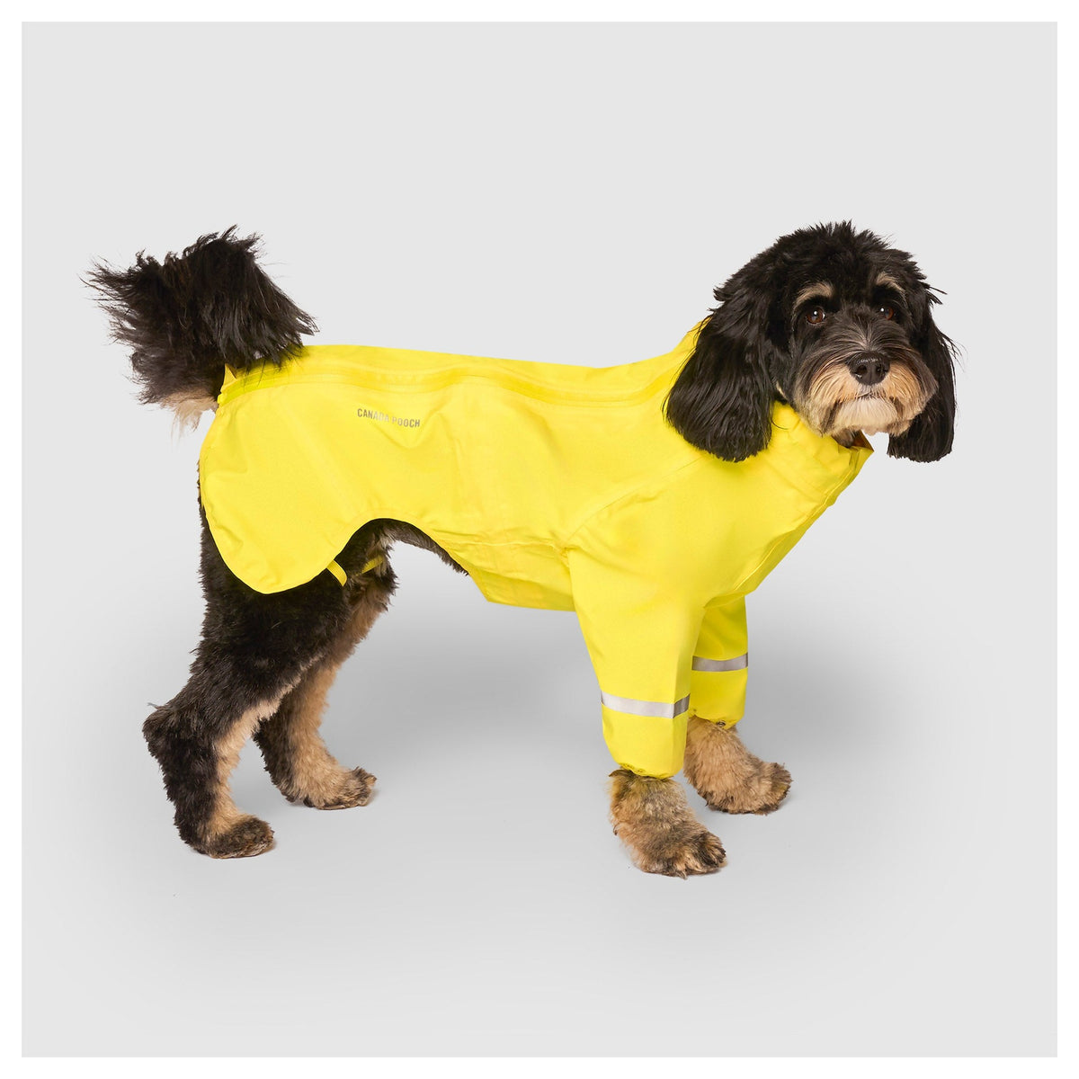 Canada Pooch Waterproof Raincoat｜狗狗雨具｜加拿大直送 產品細節圖 2