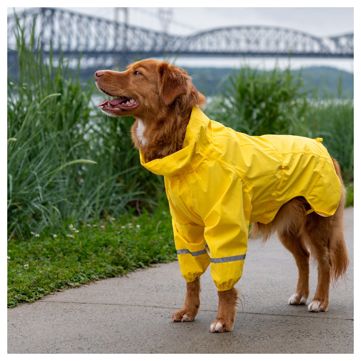 Canada Pooch Waterproof Raincoat｜狗狗雨具｜加拿大直送-狗-毛孩物語Pets Thing｜香港寵物貓狗用品專門店：IATA寵物飛機籠、寵物手推車、貓爬架貓樹