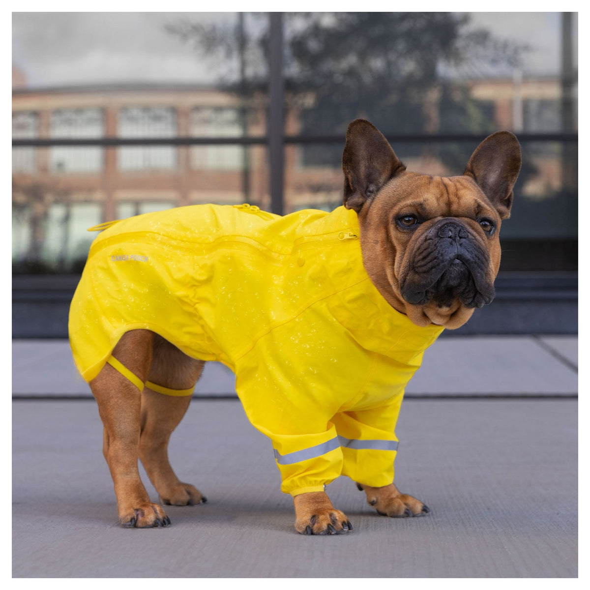 Canada Pooch Waterproof Raincoat｜狗狗雨具｜加拿大直送-狗-毛孩物語Pets Thing｜香港寵物貓狗用品專門店：IATA寵物飛機籠、寵物手推車、貓爬架貓樹