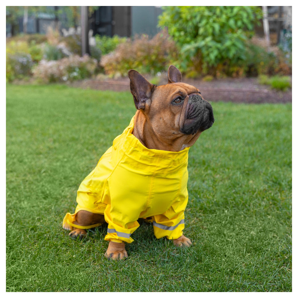 Canada Pooch Waterproof Raincoat｜狗狗雨具｜加拿大直送-狗-毛孩物語Pets Thing｜香港寵物貓狗用品專門店：IATA寵物飛機籠、寵物手推車、貓爬架貓樹