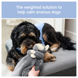 Canada Pooch Weighted Calming Toy｜狗狗玩具｜加拿大直送 產品細節圖 2