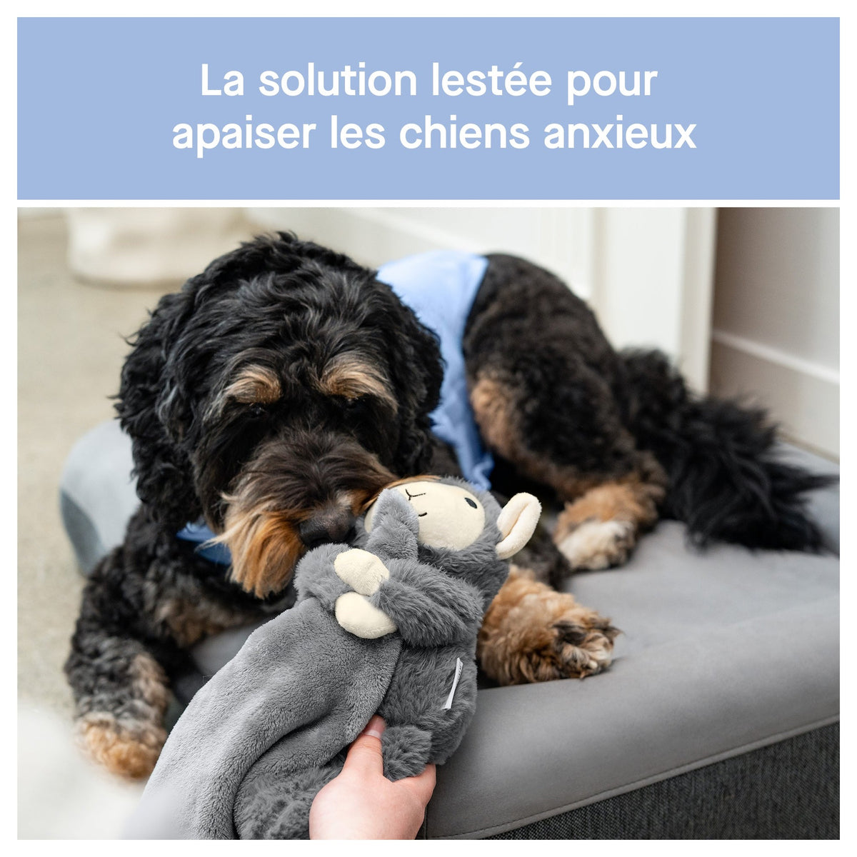 Canada Pooch Weighted Calming Toy｜狗狗玩具｜加拿大直送 產品細節圖 3