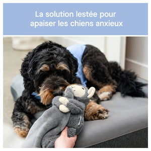 Canada Pooch Weighted Calming Toy｜狗狗玩具｜加拿大直送 產品細節圖 3