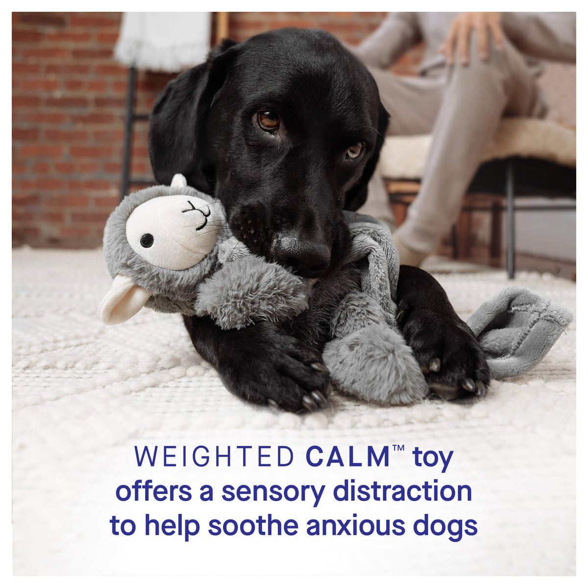 Canada Pooch Weighted Calming Toy｜狗狗玩具｜加拿大直送 產品細節圖 4