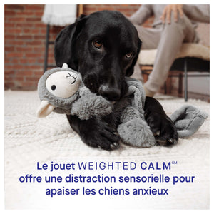 Canada Pooch Weighted Calming Toy｜狗狗玩具｜加拿大直送 產品細節圖 5