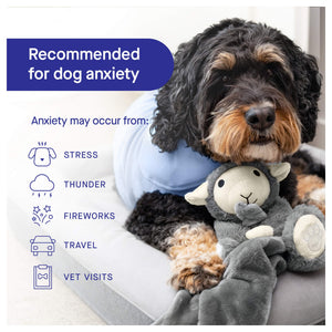 Canada Pooch Weighted Calming Toy｜狗狗玩具｜加拿大直送 產品細節圖 8