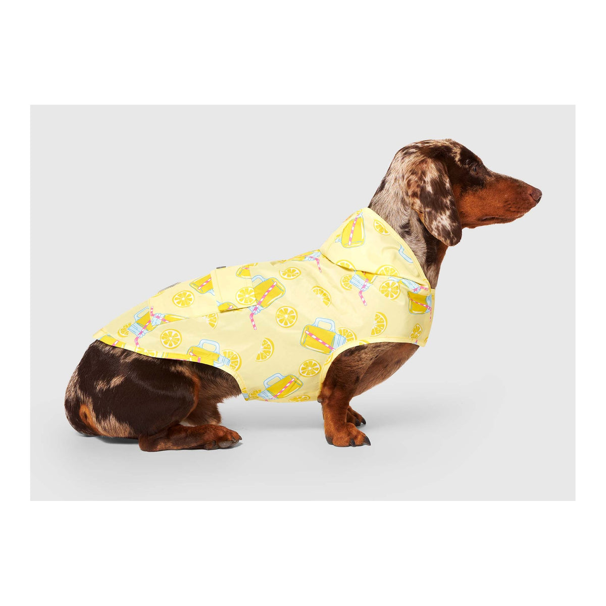 Canada Pooch Pick Me Poncho｜狗狗雨具｜加拿大直送 主產品圖