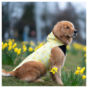 Canada Pooch Pick Me Poncho｜狗狗雨具｜加拿大直送-狗-毛孩物語Pets Thing｜香港寵物貓狗用品專門店：IATA寵物飛機籠、寵物手推車、貓爬架貓樹