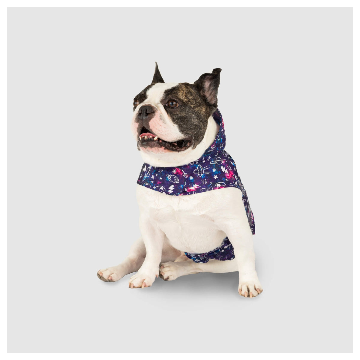 Canada Pooch Pick Me Poncho｜狗狗雨具｜加拿大直送-狗-毛孩物語Pets Thing｜香港寵物貓狗用品專門店：IATA寵物飛機籠、寵物手推車、貓爬架貓樹