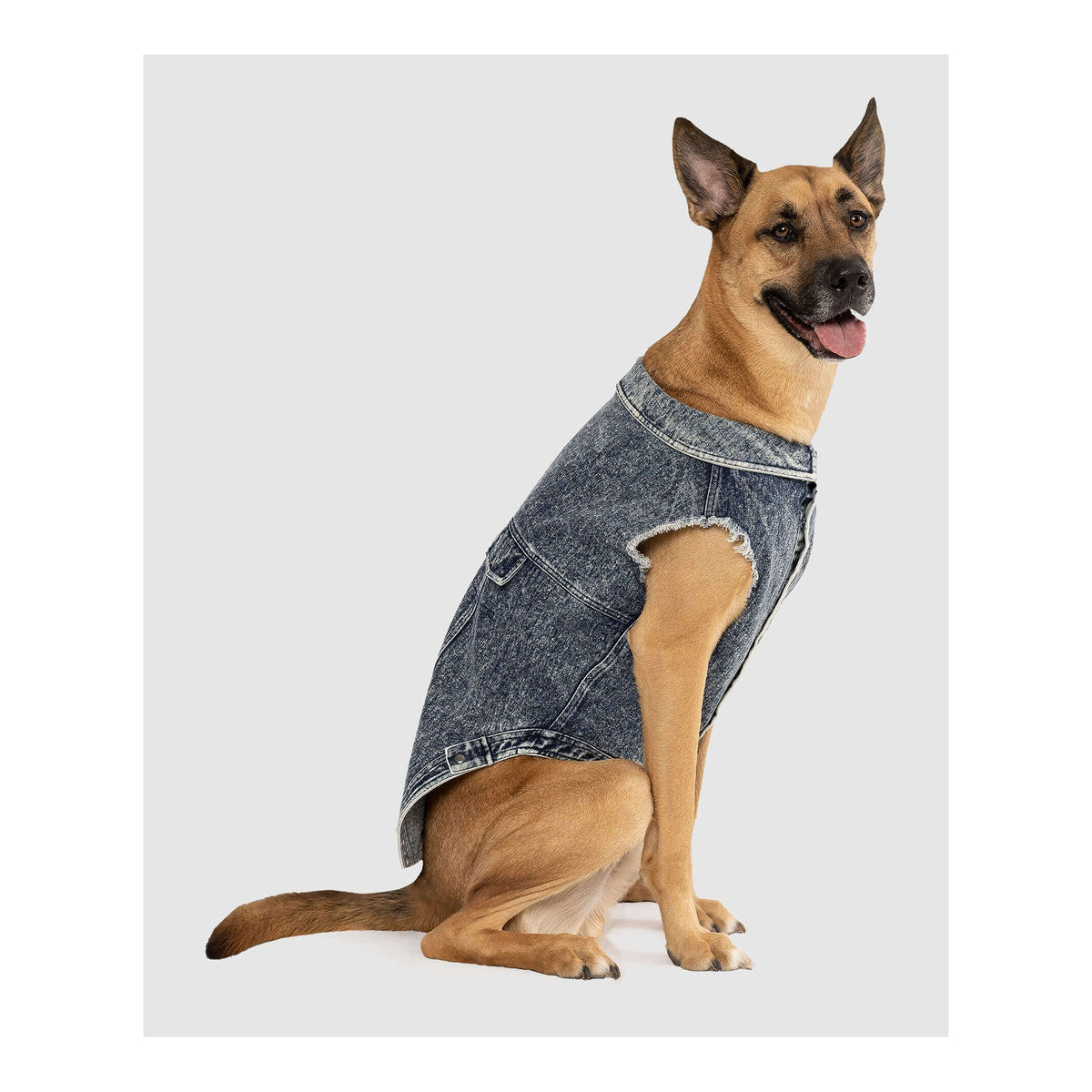 Canada Pooch Downtown Denim Vest｜狗狗服飾｜加拿大直送-狗-毛孩物語Pets Thing｜香港寵物貓狗用品專門店：IATA寵物飛機籠、寵物手推車、貓爬架貓樹
