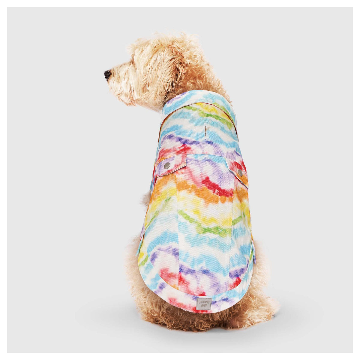 Canada Pooch Downtown Denim Vest｜狗狗服飾｜加拿大直送-狗-毛孩物語Pets Thing｜香港寵物貓狗用品專門店：IATA寵物飛機籠、寵物手推車、貓爬架貓樹