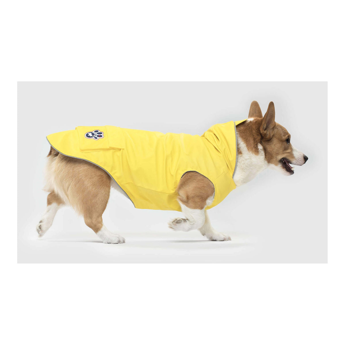 Canada Pooch Torrential Tracker｜狗狗雨具｜加拿大直送 主產品圖