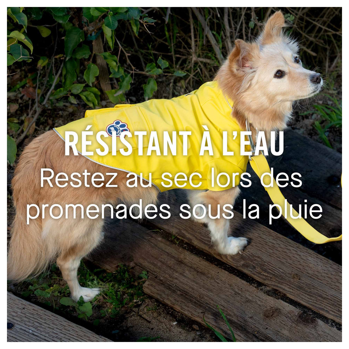 Canada Pooch Torrential Tracker｜狗狗雨具｜加拿大直送-狗-毛孩物語Pets Thing｜香港寵物貓狗用品專門店：IATA寵物飛機籠、寵物手推車、貓爬架貓樹