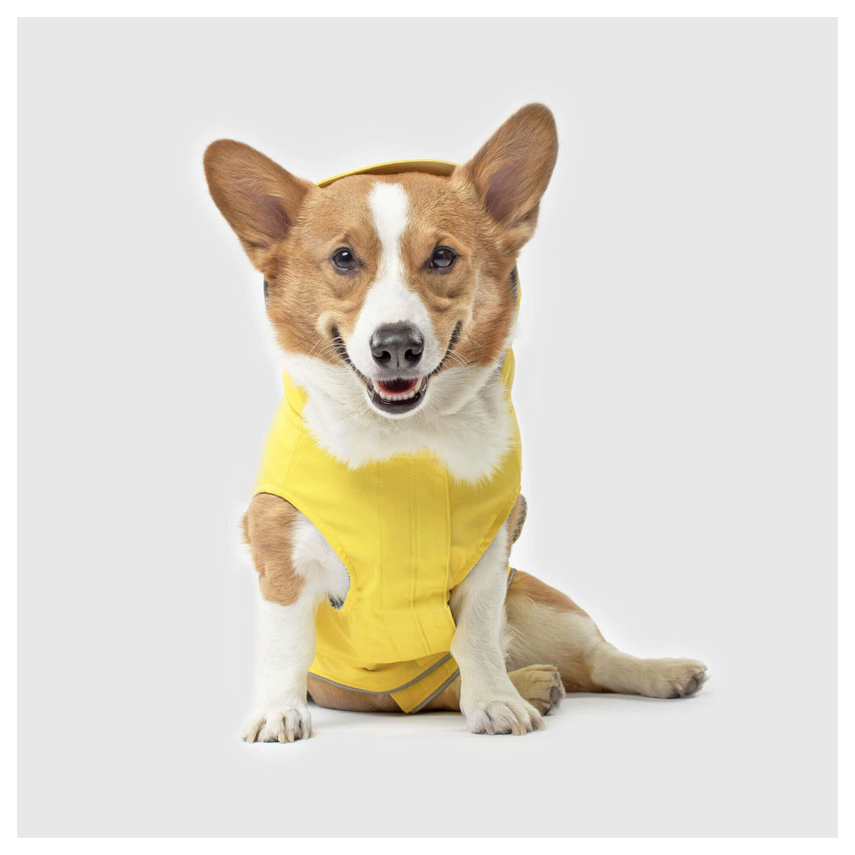 Canada Pooch Torrential Tracker｜狗狗雨具｜加拿大直送-狗-毛孩物語Pets Thing｜香港寵物貓狗用品專門店：IATA寵物飛機籠、寵物手推車、貓爬架貓樹