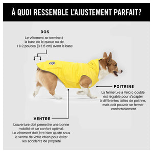 Canada Pooch Torrential Tracker｜狗狗雨具｜加拿大直送-狗-毛孩物語Pets Thing｜香港寵物貓狗用品專門店：IATA寵物飛機籠、寵物手推車、貓爬架貓樹