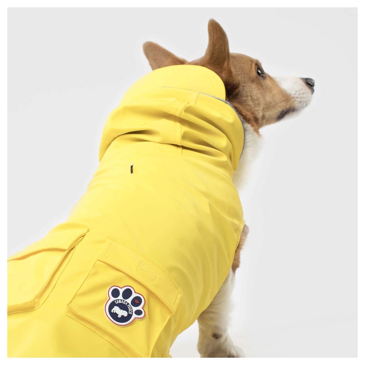 Canada Pooch Torrential Tracker｜狗狗雨具｜加拿大直送-狗-毛孩物語Pets Thing｜香港寵物貓狗用品專門店：IATA寵物飛機籠、寵物手推車、貓爬架貓樹