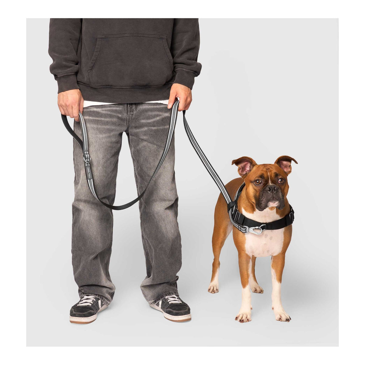 Canada Pooch Jacquard Leash｜狗帶｜加拿大直送-寵物牽引繩-毛孩物語Pets Thing｜香港寵物貓狗用品專門店：IATA寵物飛機籠、寵物手推車、貓爬架貓樹