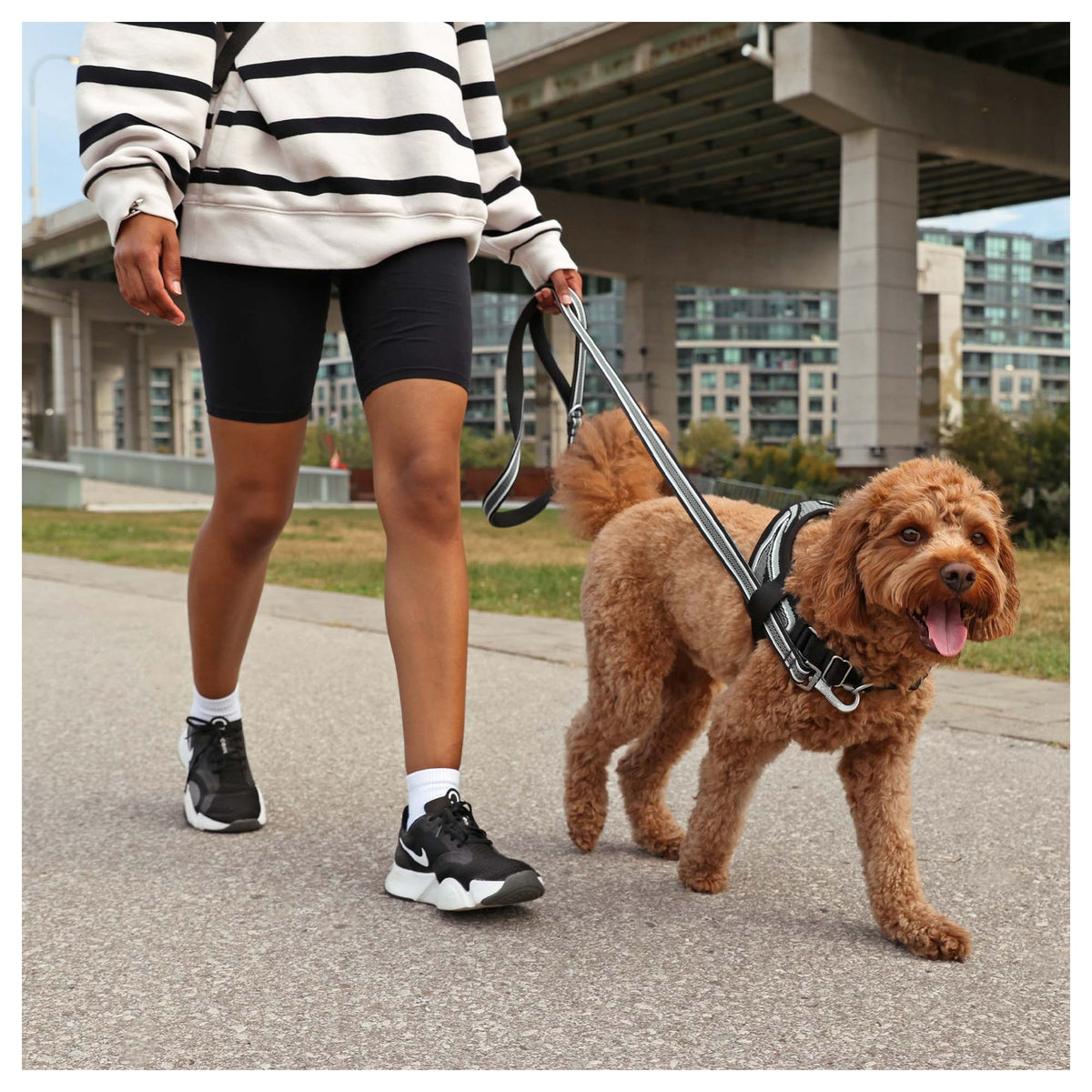 Canada Pooch Jacquard Leash｜狗帶｜加拿大直送-寵物牽引繩-毛孩物語Pets Thing｜香港寵物貓狗用品專門店：IATA寵物飛機籠、寵物手推車、貓爬架貓樹