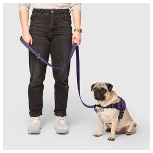 Canada Pooch Jacquard Leash｜狗帶｜加拿大直送-寵物牽引繩-毛孩物語Pets Thing｜香港寵物貓狗用品專門店：IATA寵物飛機籠、寵物手推車、貓爬架貓樹