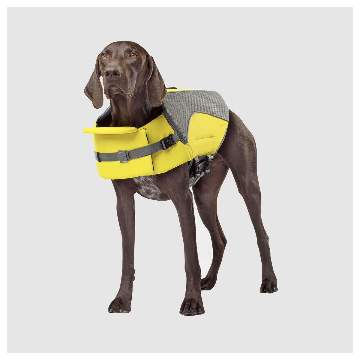 Canada Pooch Wave Rider Life Jacket｜狗狗游泳用品｜加拿大直送-狗-毛孩物語Pets Thing｜香港寵物貓狗用品專門店：IATA寵物飛機籠、寵物手推車、貓爬架貓樹