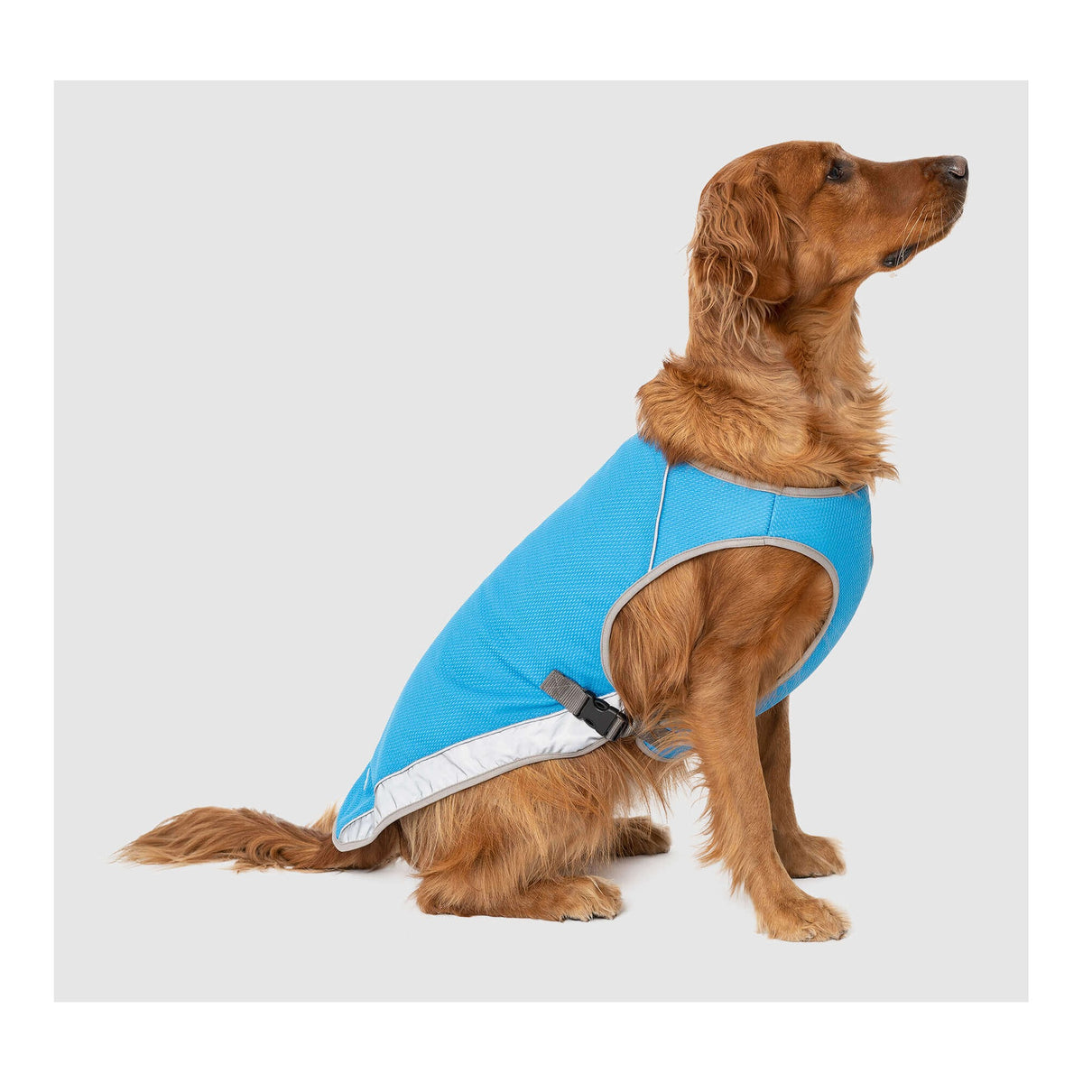 Canada Pooch Chill Seeker Cooling Vest｜狗狗服飾｜加拿大直送-狗-毛孩物語Pets Thing｜香港寵物貓狗用品專門店：IATA寵物飛機籠、寵物手推車、貓爬架貓樹