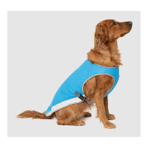 Canada Pooch Chill Seeker Cooling Vest｜狗狗服飾｜加拿大直送-狗-毛孩物語Pets Thing｜香港寵物貓狗用品專門店：IATA寵物飛機籠、寵物手推車、貓爬架貓樹