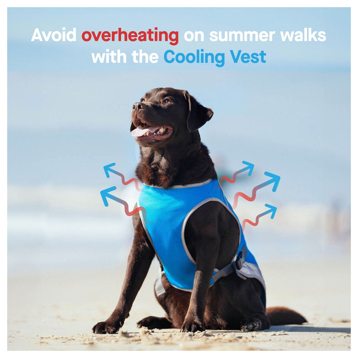 Canada Pooch Chill Seeker Cooling Vest｜狗狗服飾｜加拿大直送-狗-毛孩物語Pets Thing｜香港寵物貓狗用品專門店：IATA寵物飛機籠、寵物手推車、貓爬架貓樹