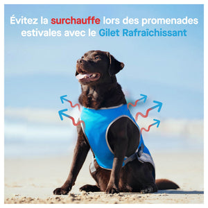 Canada Pooch Chill Seeker Cooling Vest｜狗狗服飾｜加拿大直送-狗-毛孩物語Pets Thing｜香港寵物貓狗用品專門店：IATA寵物飛機籠、寵物手推車、貓爬架貓樹