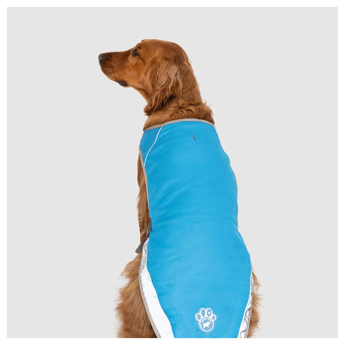 Canada Pooch Chill Seeker Cooling Vest｜狗狗服飾｜加拿大直送-狗-毛孩物語Pets Thing｜香港寵物貓狗用品專門店：IATA寵物飛機籠、寵物手推車、貓爬架貓樹