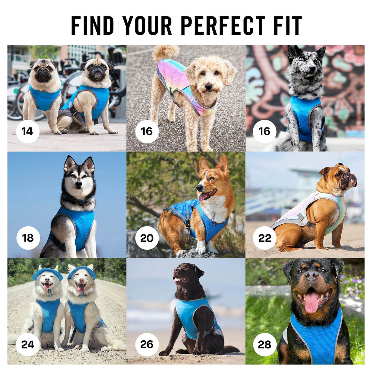 Canada Pooch Chill Seeker Cooling Vest｜狗狗服飾｜加拿大直送-狗-毛孩物語Pets Thing｜香港寵物貓狗用品專門店：IATA寵物飛機籠、寵物手推車、貓爬架貓樹