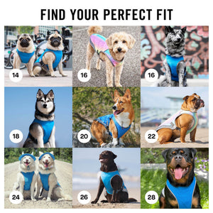 Canada Pooch Chill Seeker Cooling Vest｜狗狗服飾｜加拿大直送-狗-毛孩物語Pets Thing｜香港寵物貓狗用品專門店：IATA寵物飛機籠、寵物手推車、貓爬架貓樹