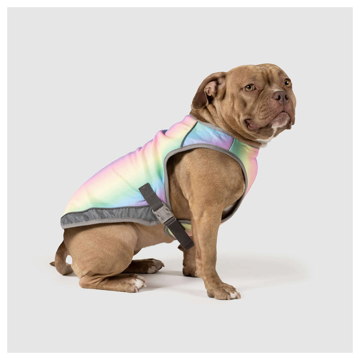 Canada Pooch Chill Seeker Cooling Vest｜狗狗服飾｜加拿大直送-狗-毛孩物語Pets Thing｜香港寵物貓狗用品專門店：IATA寵物飛機籠、寵物手推車、貓爬架貓樹