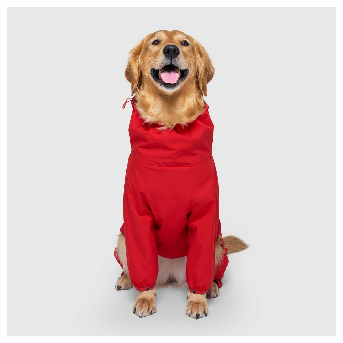 Canada Pooch Slush Suit｜狗狗雨具｜加拿大直送-狗-毛孩物語Pets Thing｜香港寵物貓狗用品專門店：IATA寵物飛機籠、寵物手推車、貓爬架貓樹