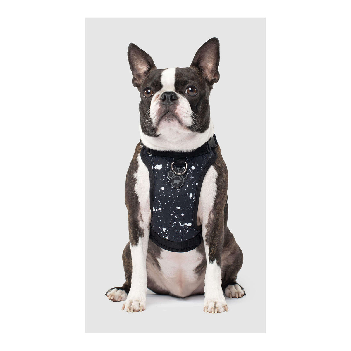 Canada Pooch The Everything Harness Water-Resistant Series｜狗狗胸帶及戶外用品｜加拿大直送-寵物胸背帶-毛孩物語Pets Thing｜香港寵物貓狗用品專門店：IATA寵物飛機籠、寵物手推車、貓爬架貓樹