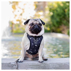 Canada Pooch The Everything Harness Water-Resistant Series｜狗狗胸帶及戶外用品｜加拿大直送-寵物胸背帶-毛孩物語Pets Thing｜香港寵物貓狗用品專門店：IATA寵物飛機籠、寵物手推車、貓爬架貓樹