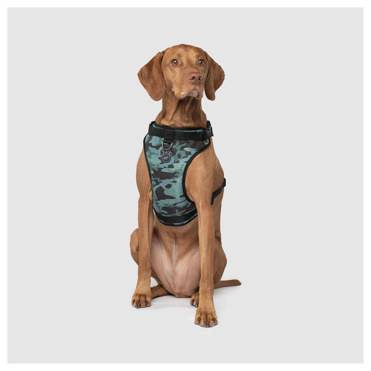 Canada Pooch The Everything Harness Water-Resistant Series｜狗狗胸帶及戶外用品｜加拿大直送-寵物胸背帶-毛孩物語Pets Thing｜香港寵物貓狗用品專門店：IATA寵物飛機籠、寵物手推車、貓爬架貓樹