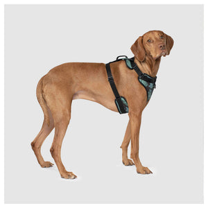 Canada Pooch The Everything Harness Water-Resistant Series｜狗狗胸帶及戶外用品｜加拿大直送-寵物胸背帶-毛孩物語Pets Thing｜香港寵物貓狗用品專門店：IATA寵物飛機籠、寵物手推車、貓爬架貓樹