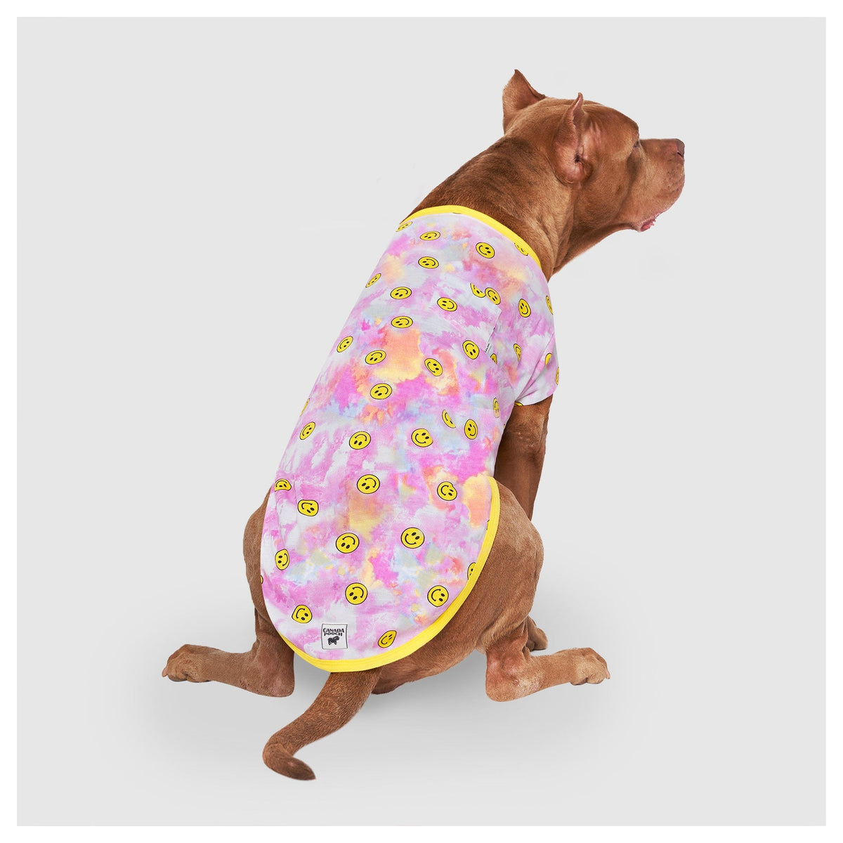 Canada Pooch Follow Me Tee UV Reveal｜狗狗服飾｜加拿大直送 產品細節圖 2