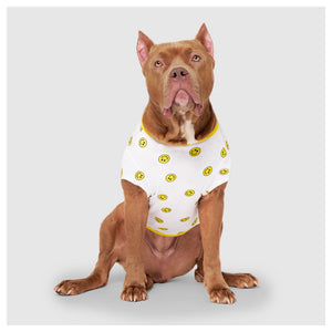 Canada Pooch Follow Me Tee UV Reveal｜狗狗服飾｜加拿大直送 產品細節圖 3