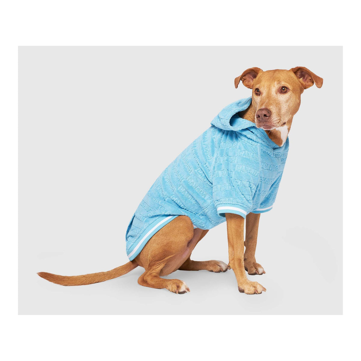Canada Pooch Beach Bum Towel Hoodie｜狗狗服飾｜加拿大直送-狗-毛孩物語Pets Thing｜香港寵物貓狗用品專門店：IATA寵物飛機籠、寵物手推車、貓爬架貓樹