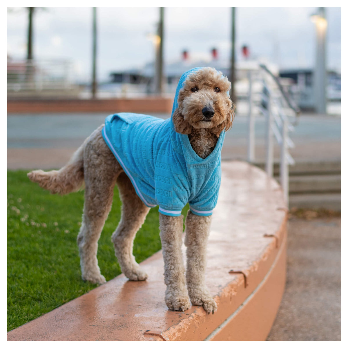 Canada Pooch Beach Bum Towel Hoodie｜狗狗服飾｜加拿大直送-狗-毛孩物語Pets Thing｜香港寵物貓狗用品專門店：IATA寵物飛機籠、寵物手推車、貓爬架貓樹