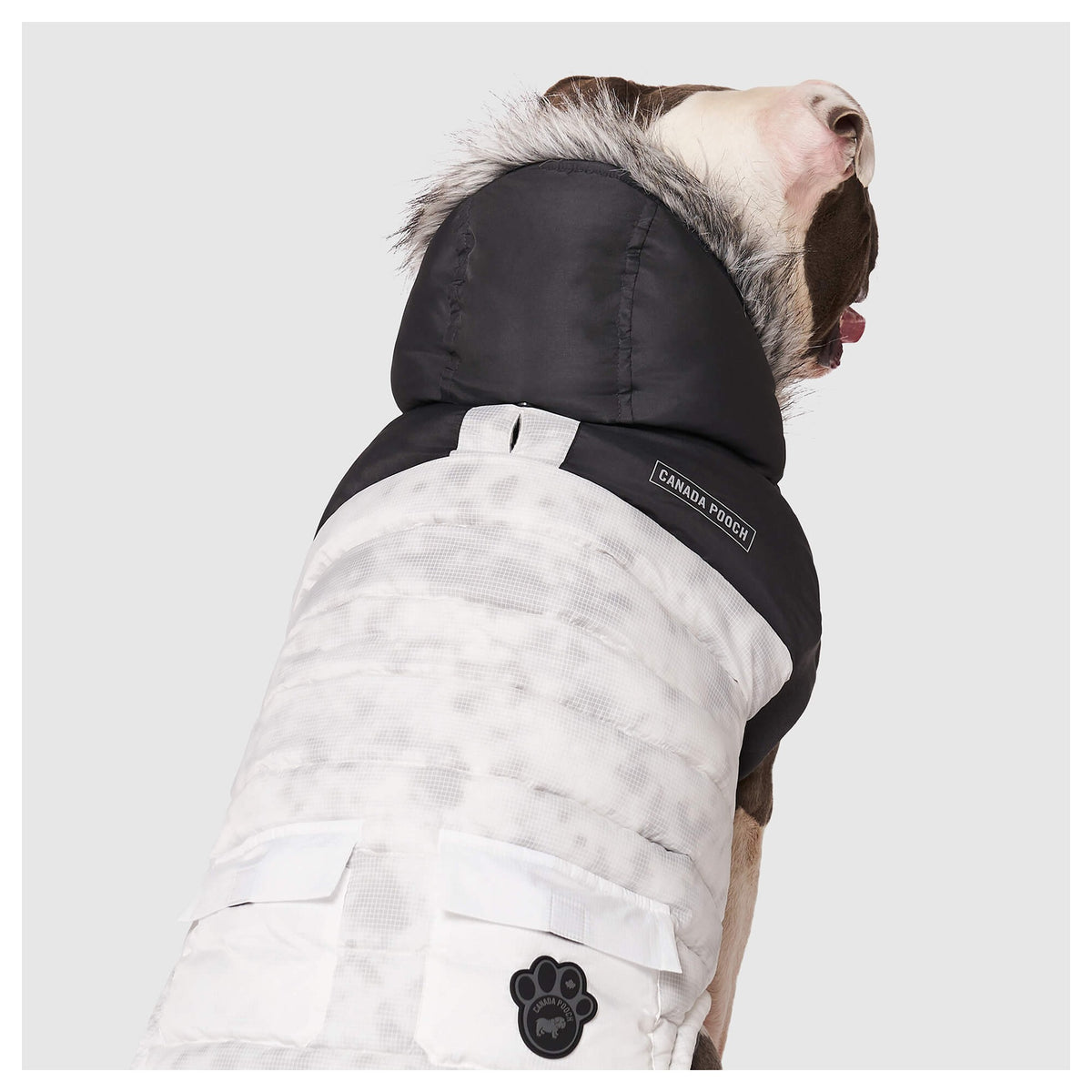 Canada Pooch Eco+ True North Parka｜狗狗服飾｜加拿大直送 產品細節圖 3