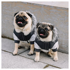 Canada Pooch Eco+ True North Parka｜狗狗服飾｜加拿大直送 產品細節圖 5
